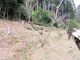 田舎暮らし物件｜画像