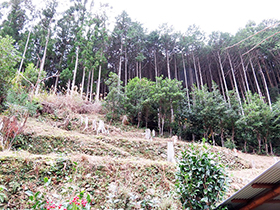 田舎暮らし物件｜画像