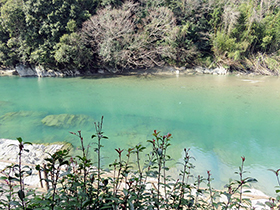 田舎暮らし物件｜画像