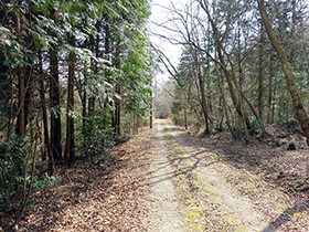 田舎暮らし物件｜アプローチの様子