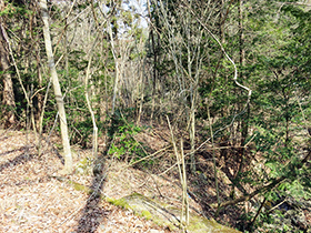 田舎暮らし物件｜画像