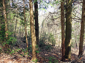 田舎暮らし物件｜画像