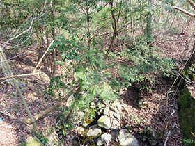 田舎暮らし物件｜画像