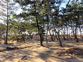 田舎暮らし物件｜画像