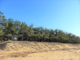 田舎暮らし物件｜画像