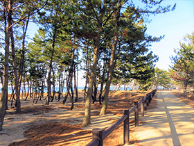 田舎暮らし物件｜画像