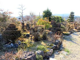 田舎暮らし物件｜画像