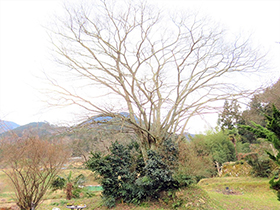 田舎暮らし物件｜画像