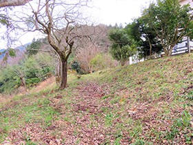 田舎暮らし物件｜画像