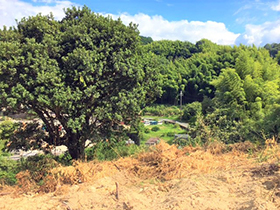 田舎暮らし物件｜画像