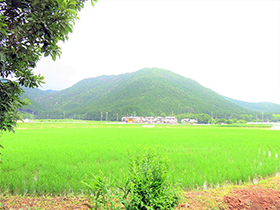 田舎暮らし物件｜画像