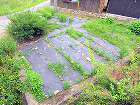 田舎暮らし物件｜画像