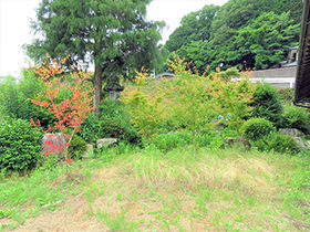 田舎暮らし物件｜画像